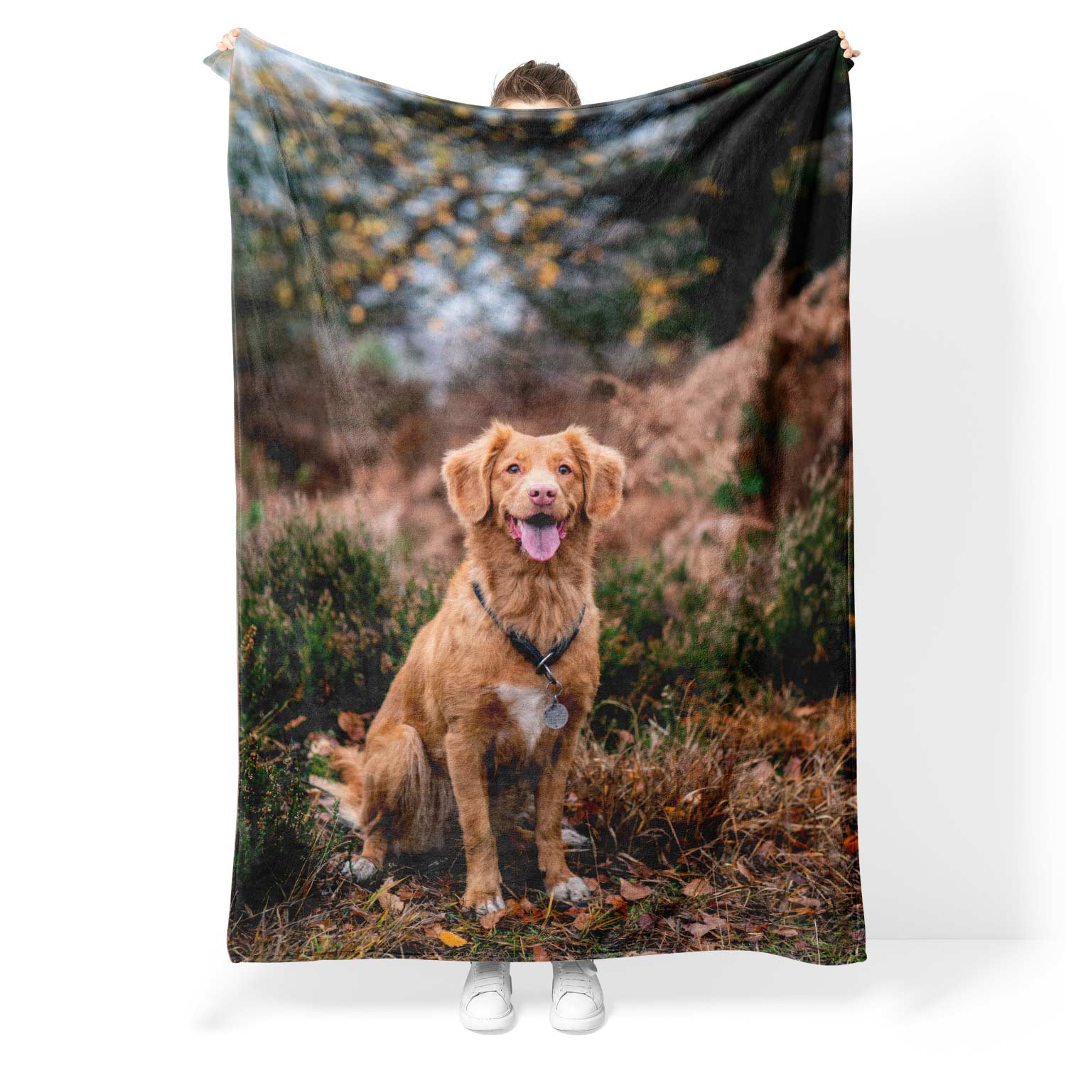 photo dog blanket