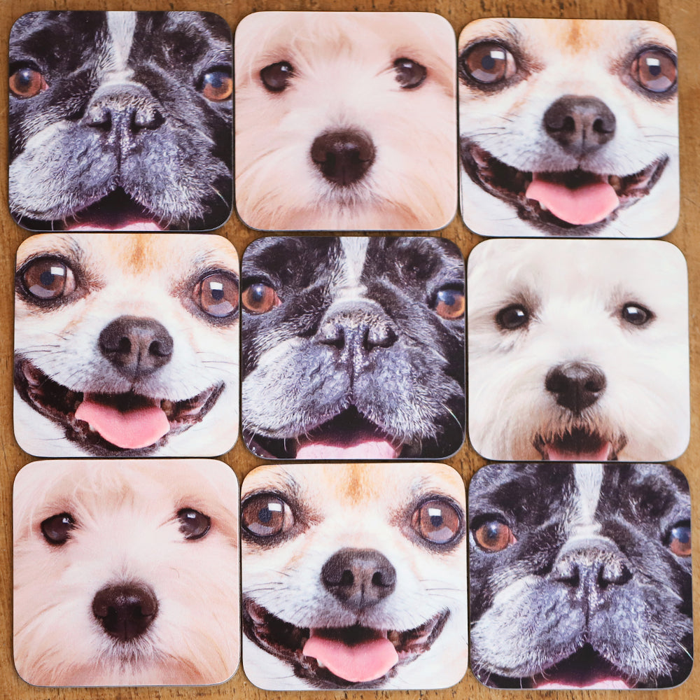 Personalised Dog Face Coasters