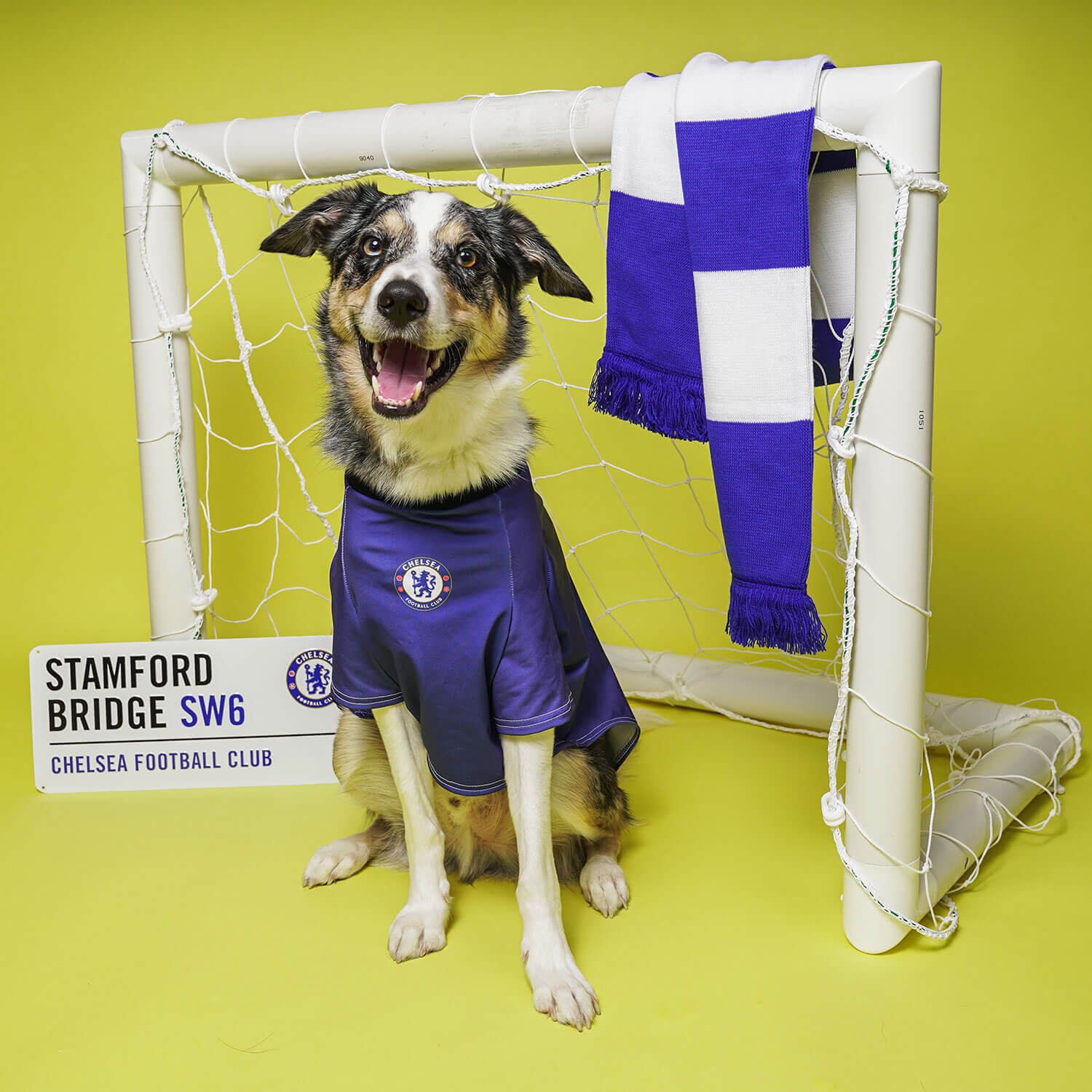 Chelsea FC Dog Football Shirt