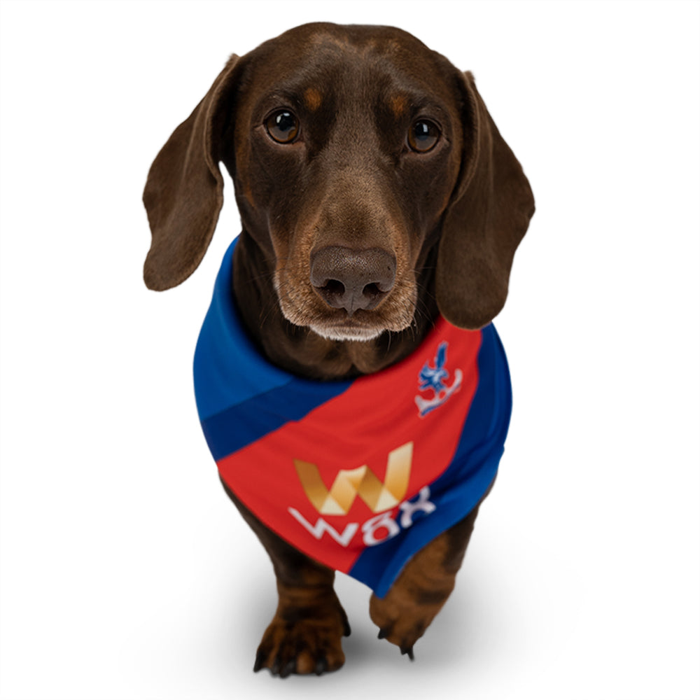 Crystal Palace Dog Bandana