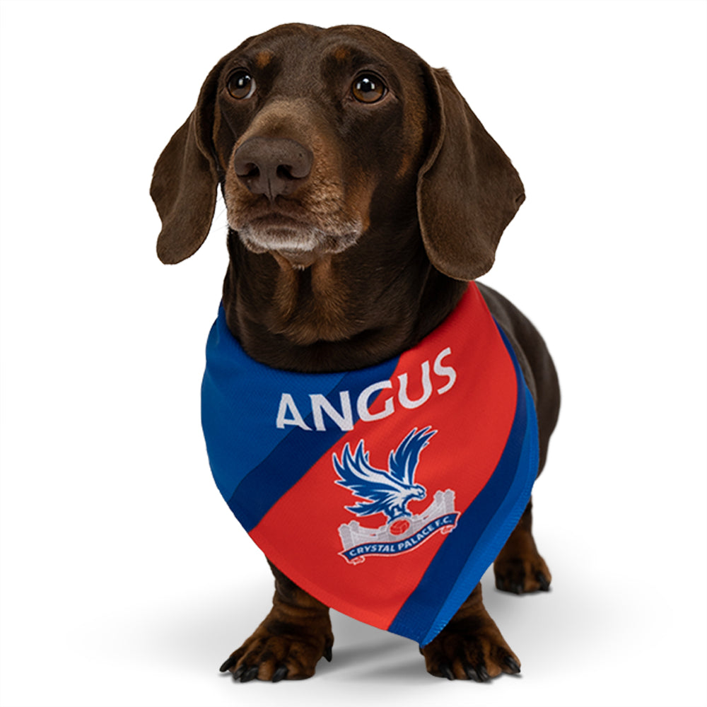 Personalised Crystal Palace Dog Bandana