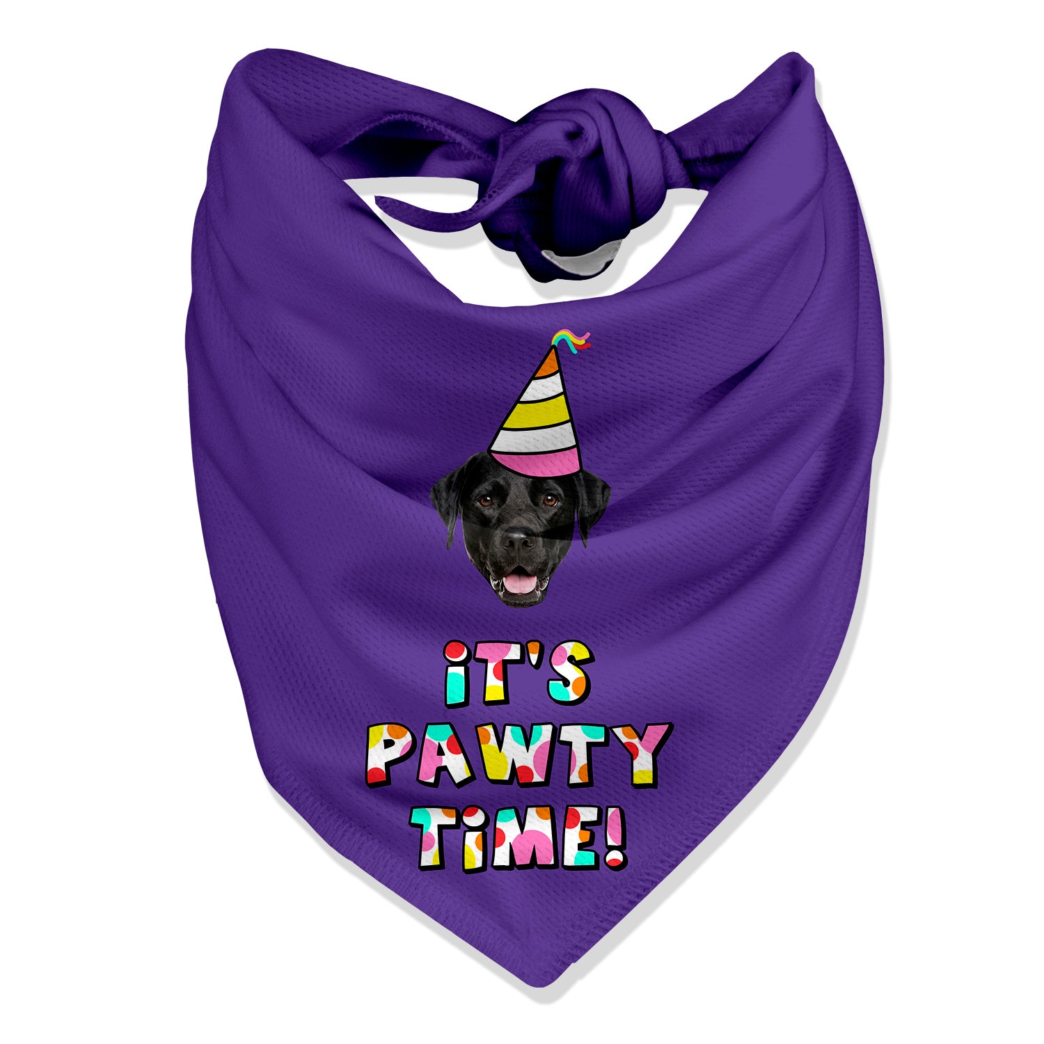 birthday personalised dog bandana