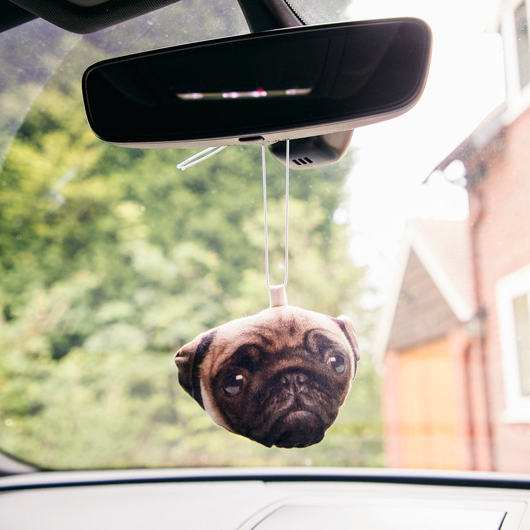 Dogsy Car Accessory