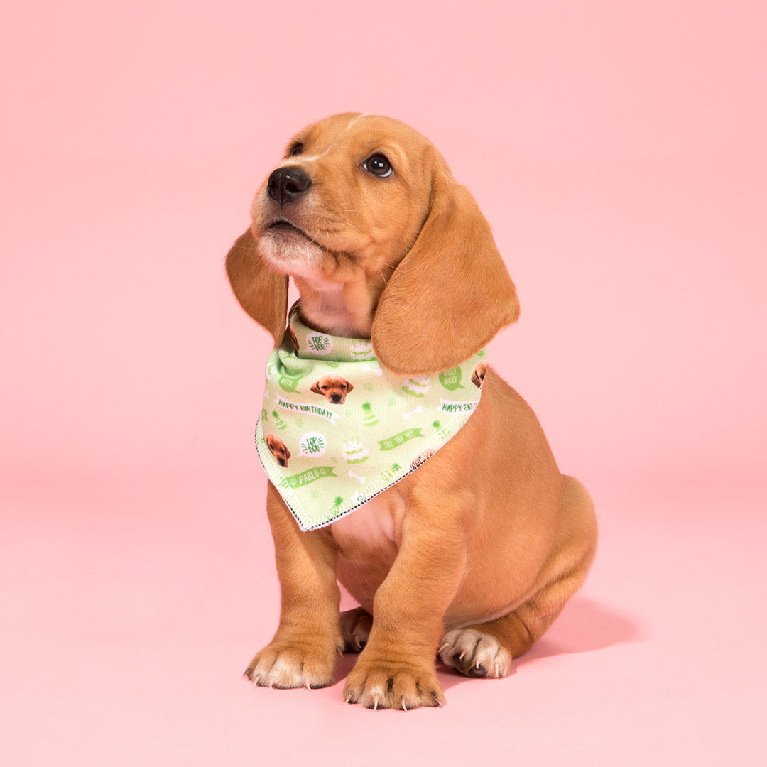 Happy Birthday dog Bandana