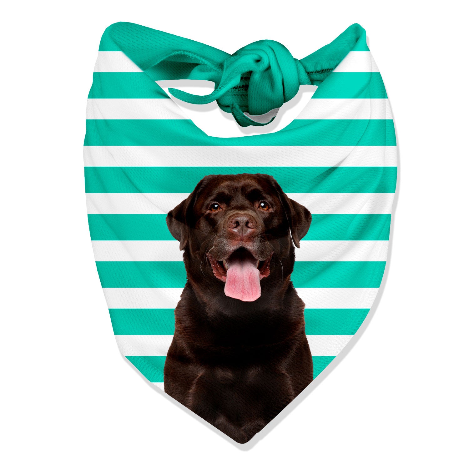 Stripey Personalised Dog Bandana