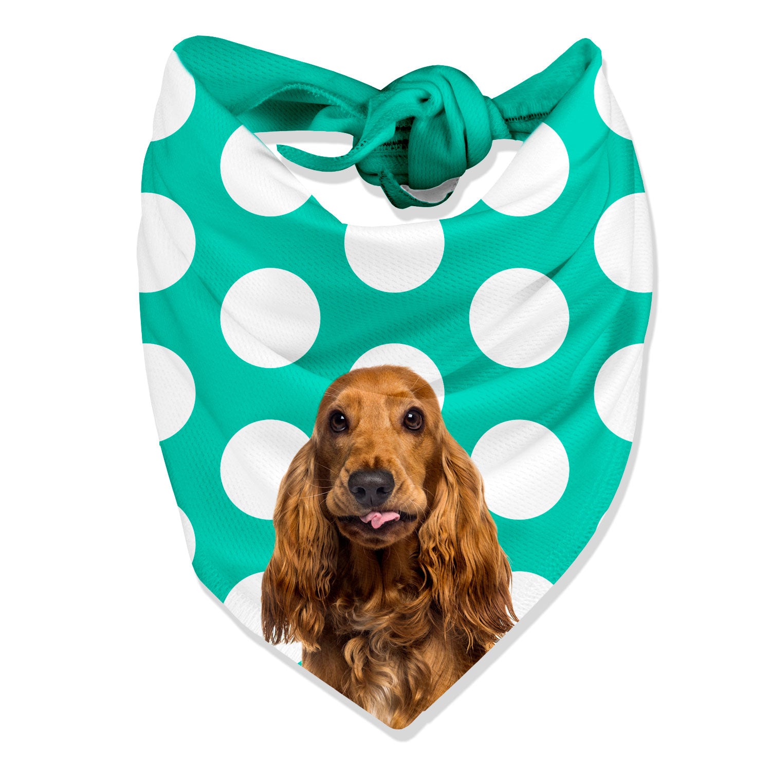 Dogsy Spotty Personalised Dog Bandana