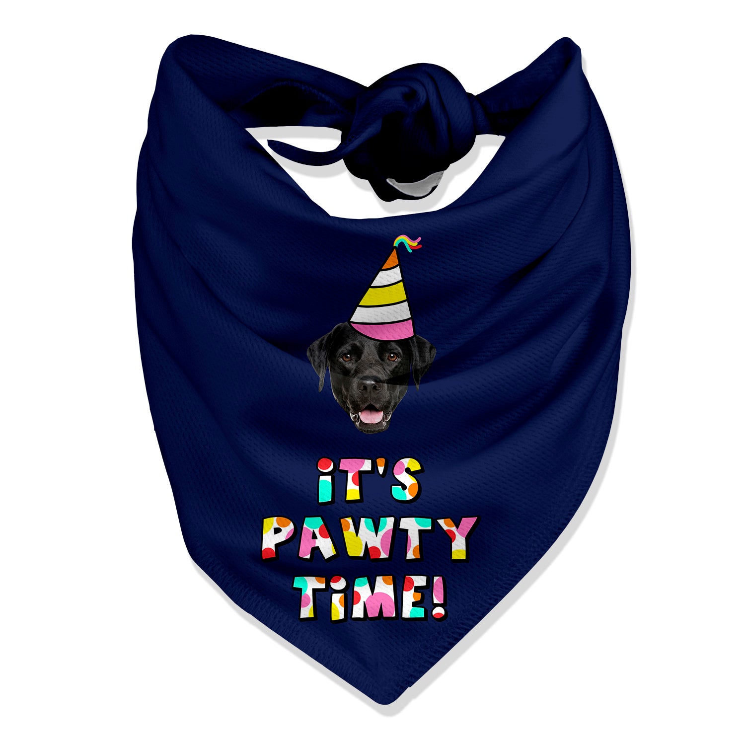 It's Pawty Time Personalised Dog Bandana
