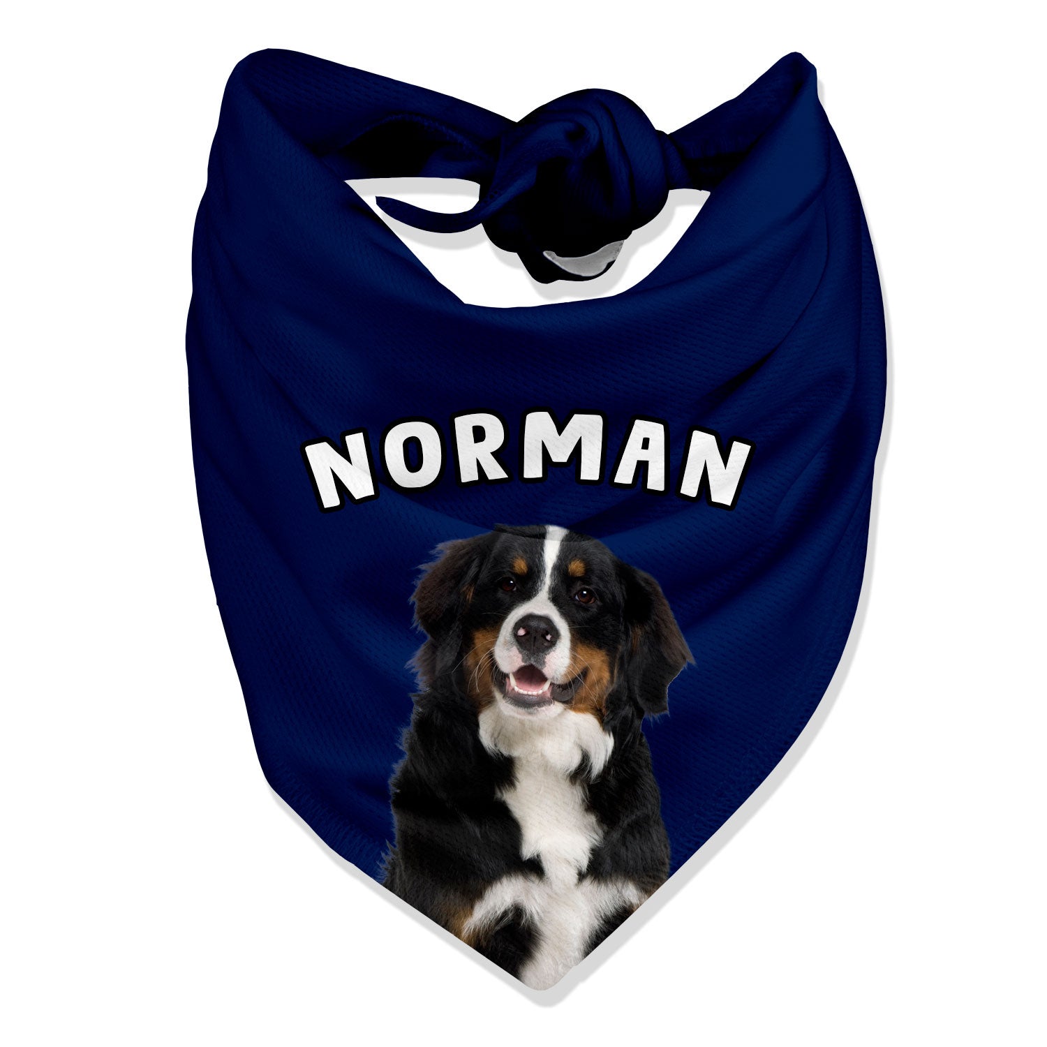 Personalised Name Dog Bandana