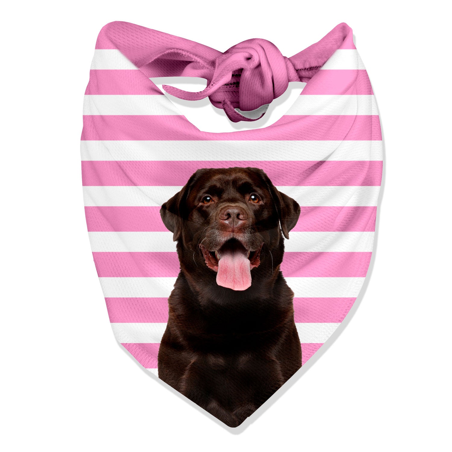Stripey Personalised Dog Bandana
