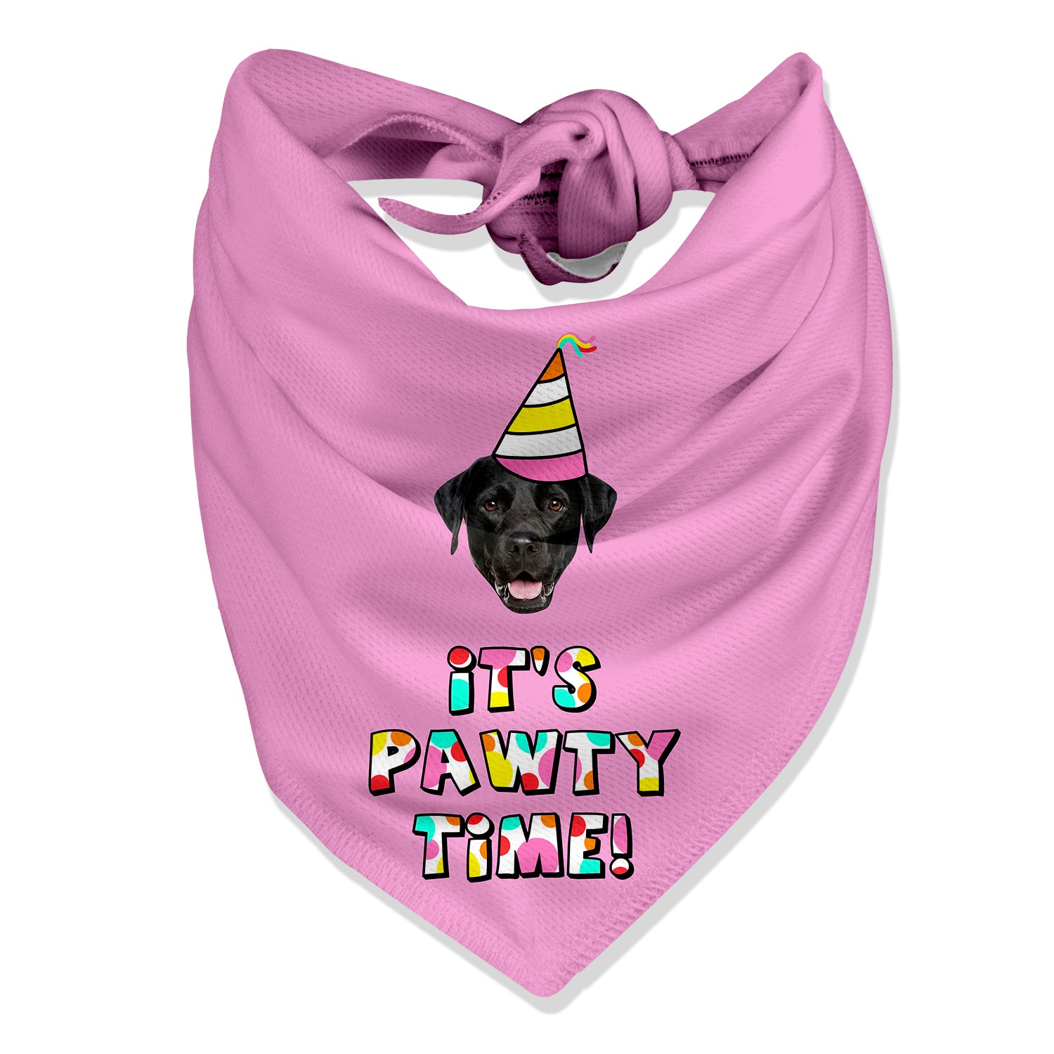 It's Pawty Time Personalised Dog Bandana