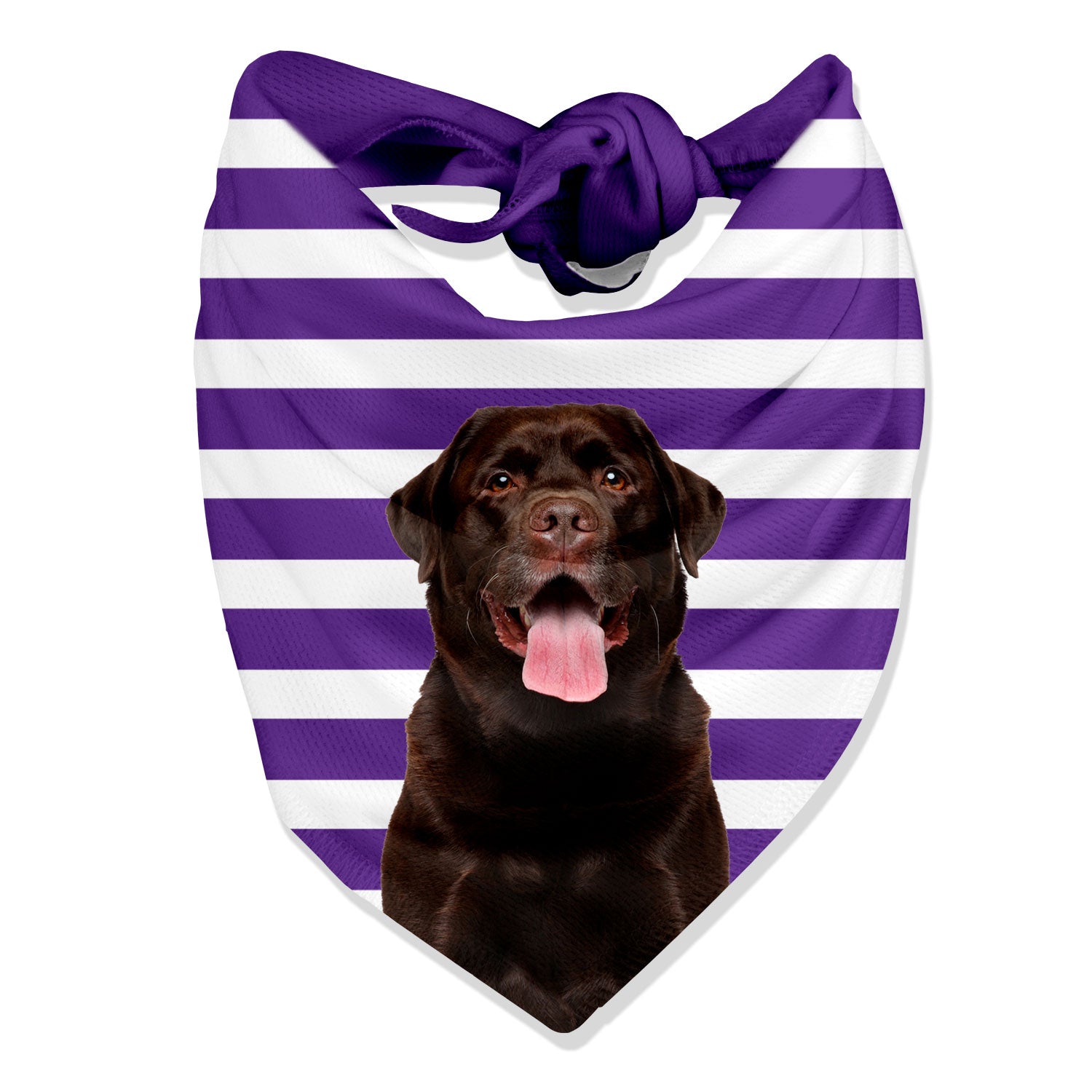 Stripey Personalised Dog Bandana