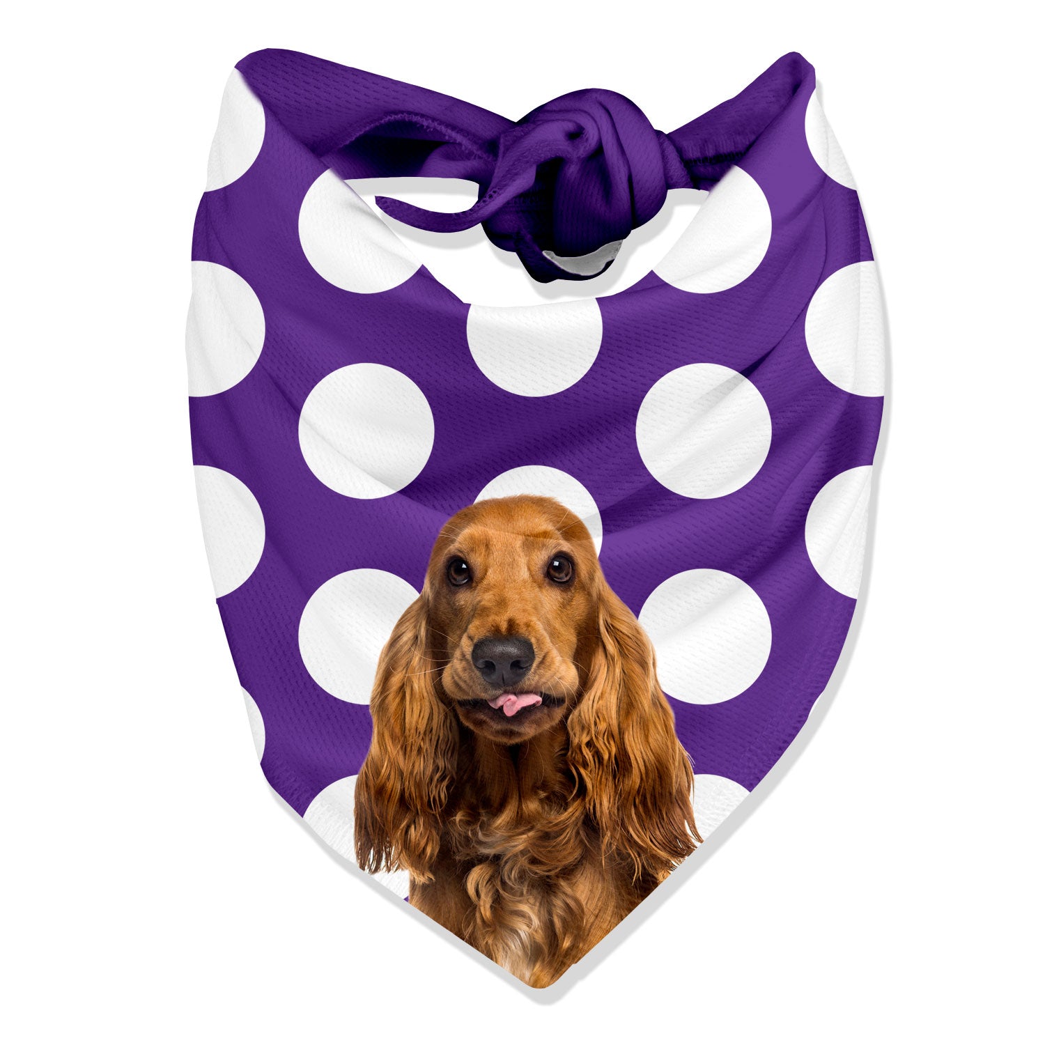 Dogsy Spotty Personalised Dog Bandana