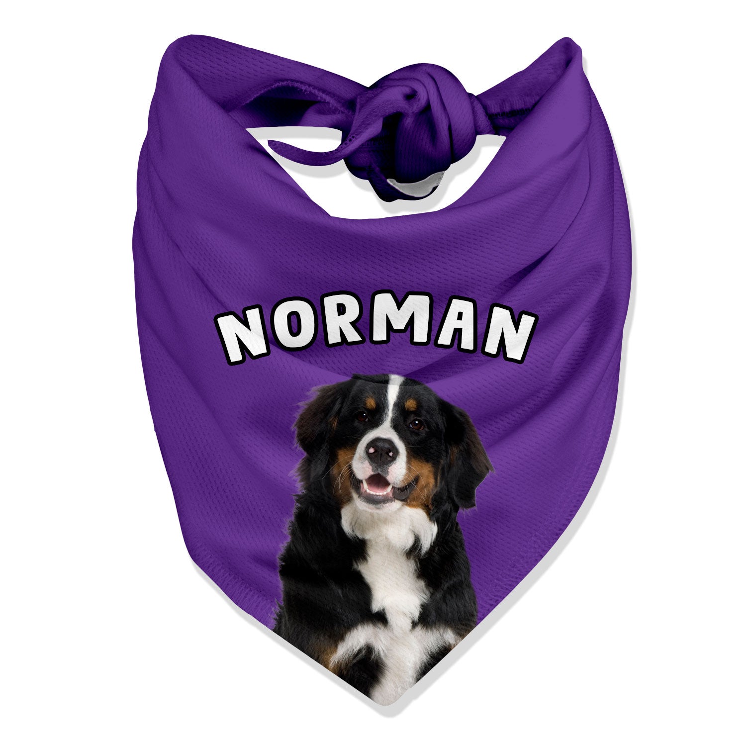 Personalised Name Dog Bandana