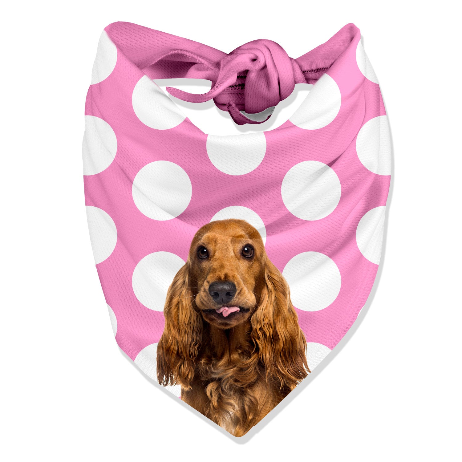 Dogsy Spotty Personalised Dog Bandana