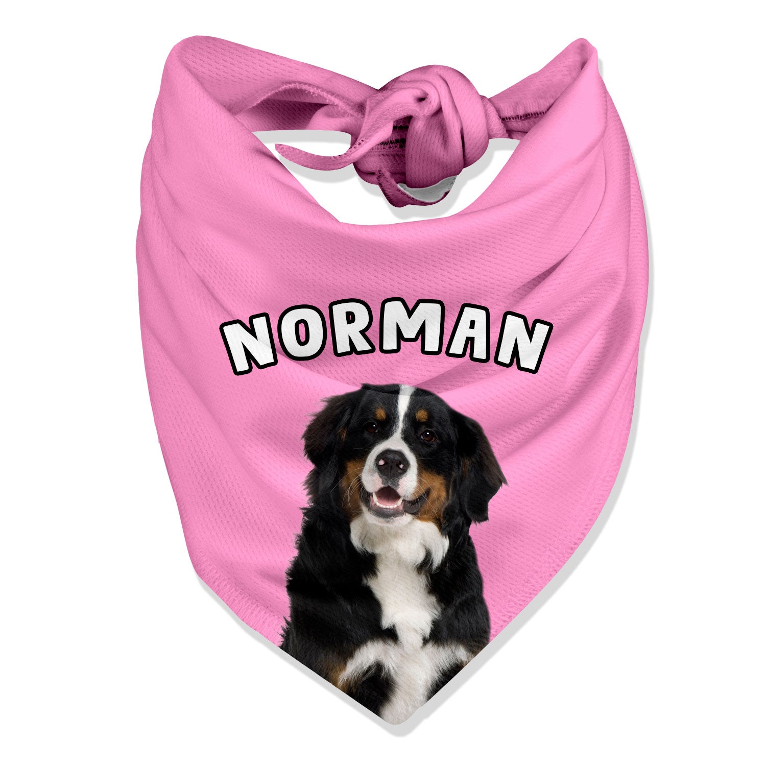 Personalised Name Dog Bandana