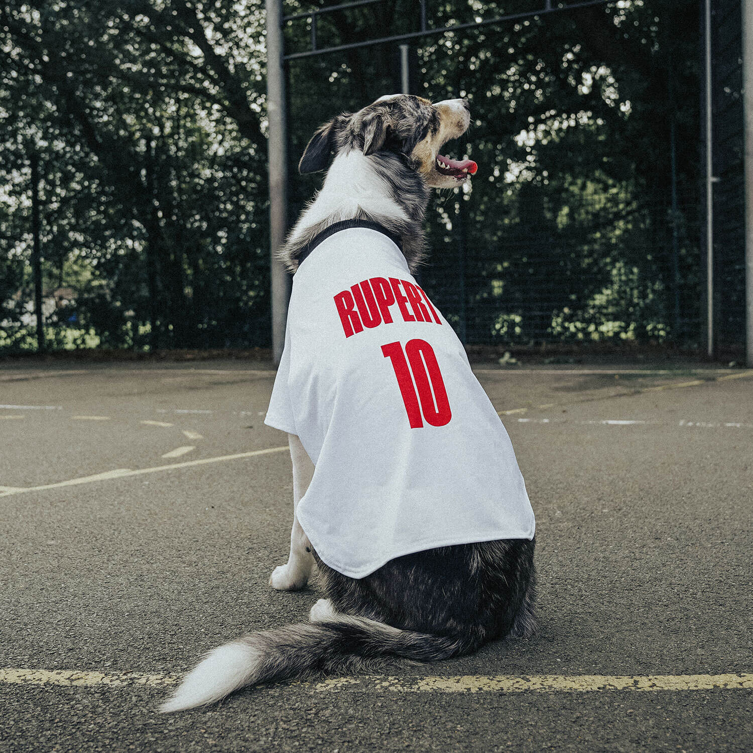 Official Personalised England Dog Shirt