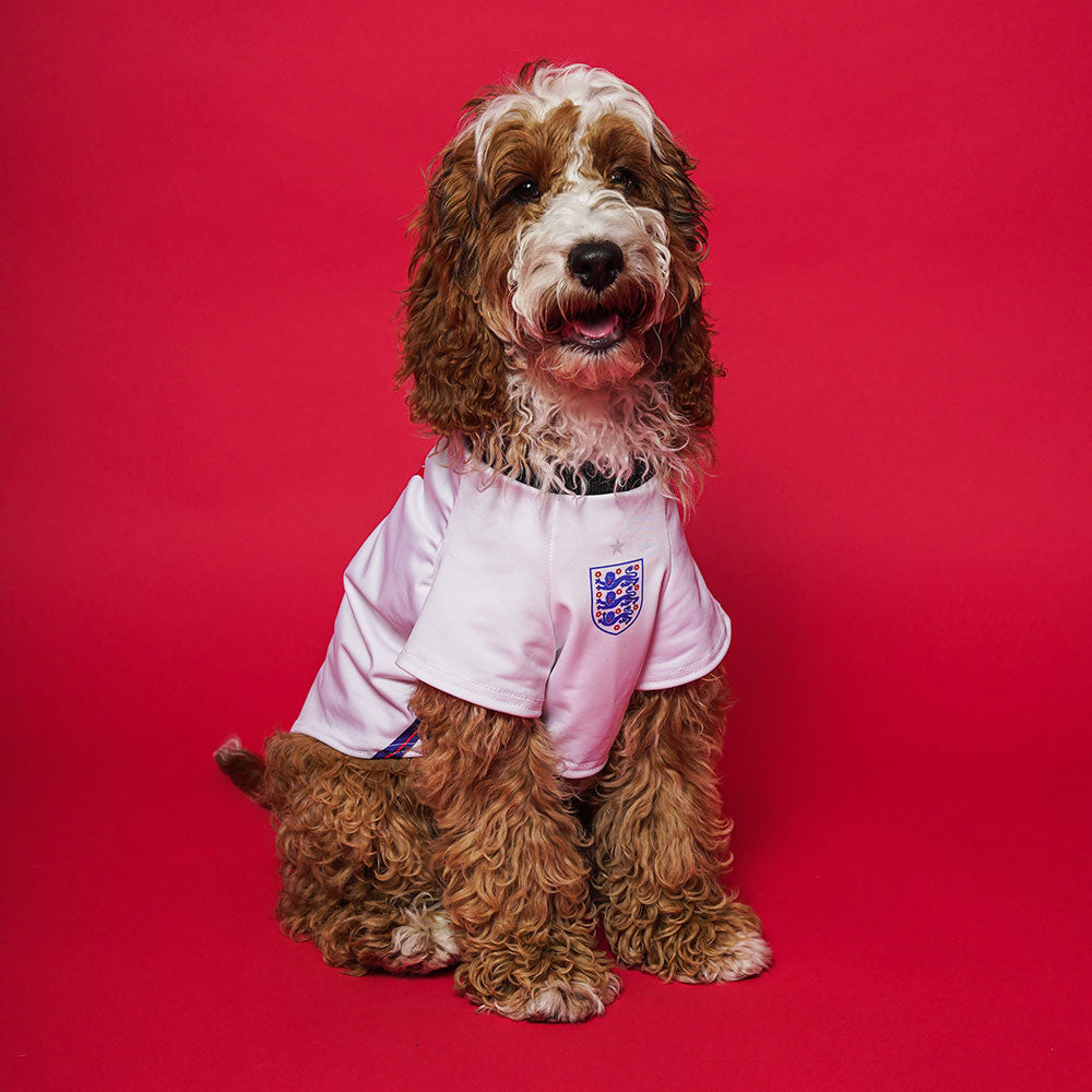 Custom England Dog Shirt