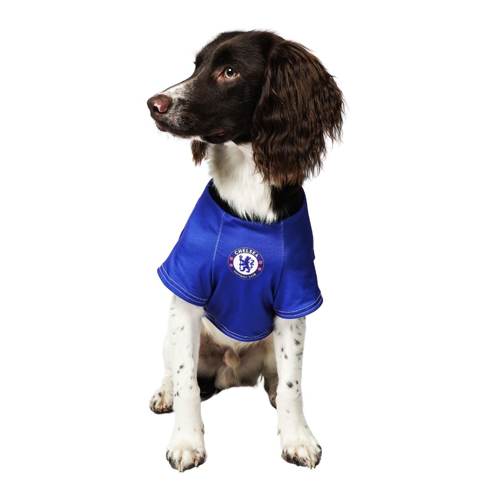 Personalised Chelsea Dog Shirt