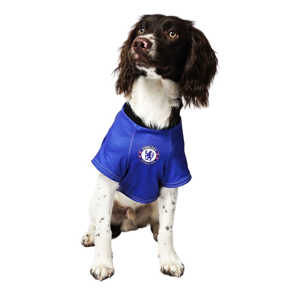 Personalised Chelsea Football Shirt For Dogs
