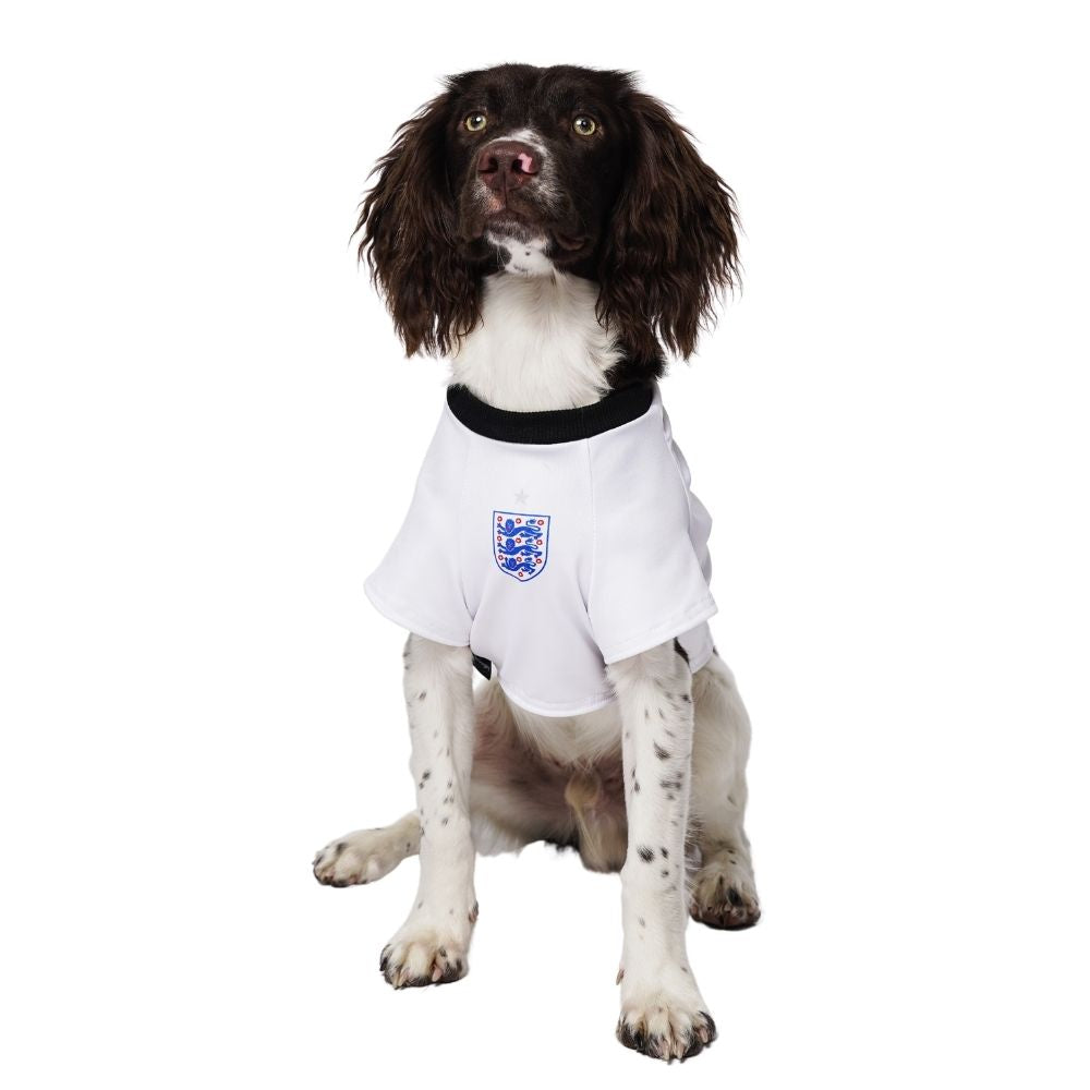 Personalised England Dog Shirt