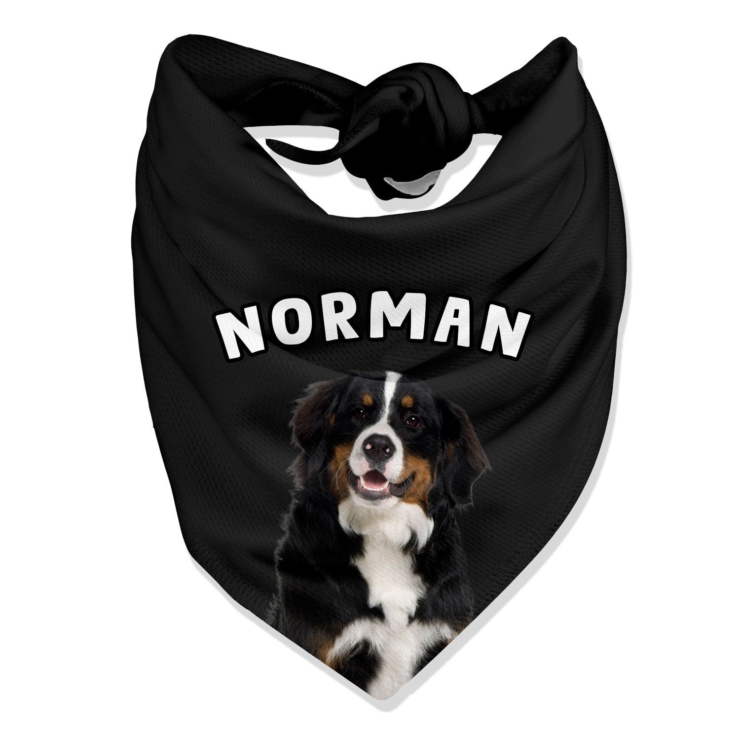 Personalised Name Dog Bandana