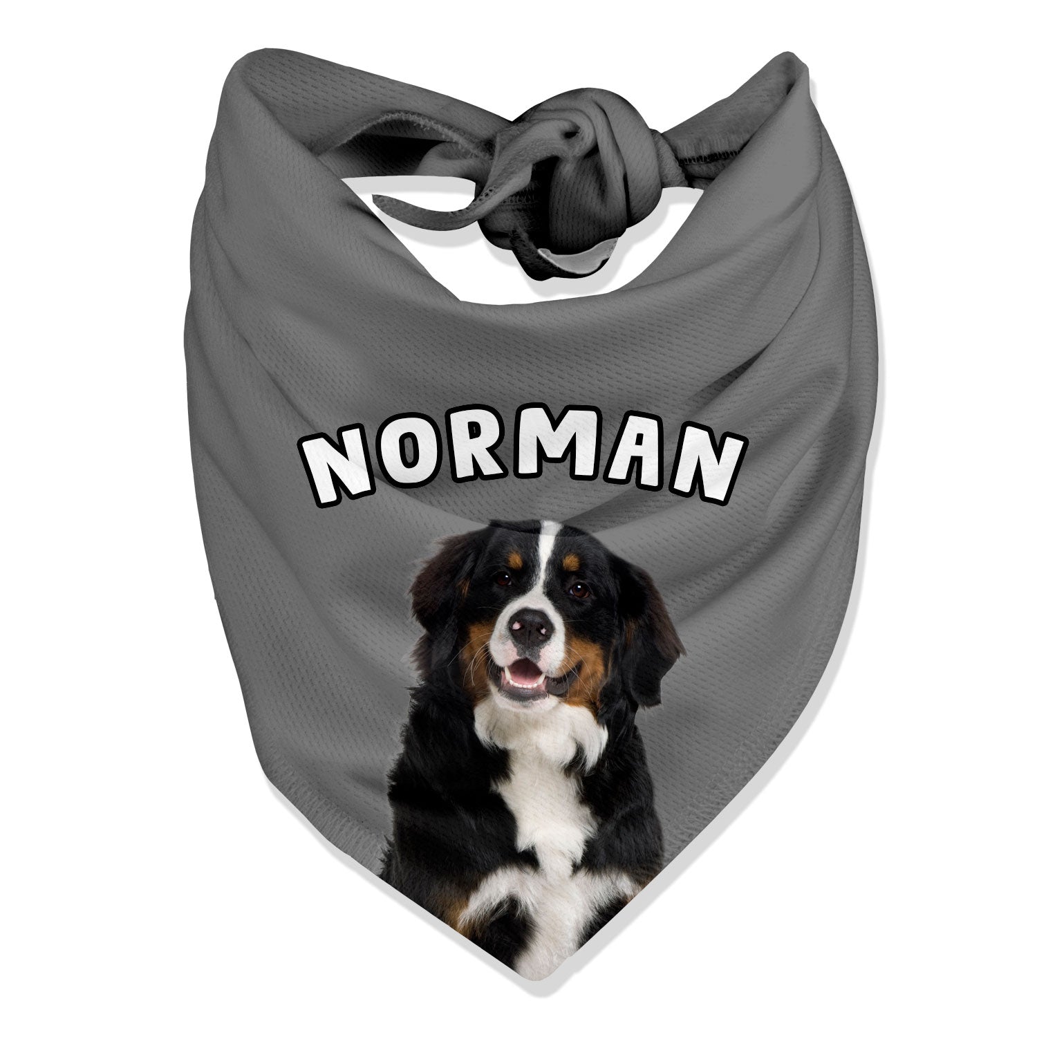 Personalised Name Dog Bandana