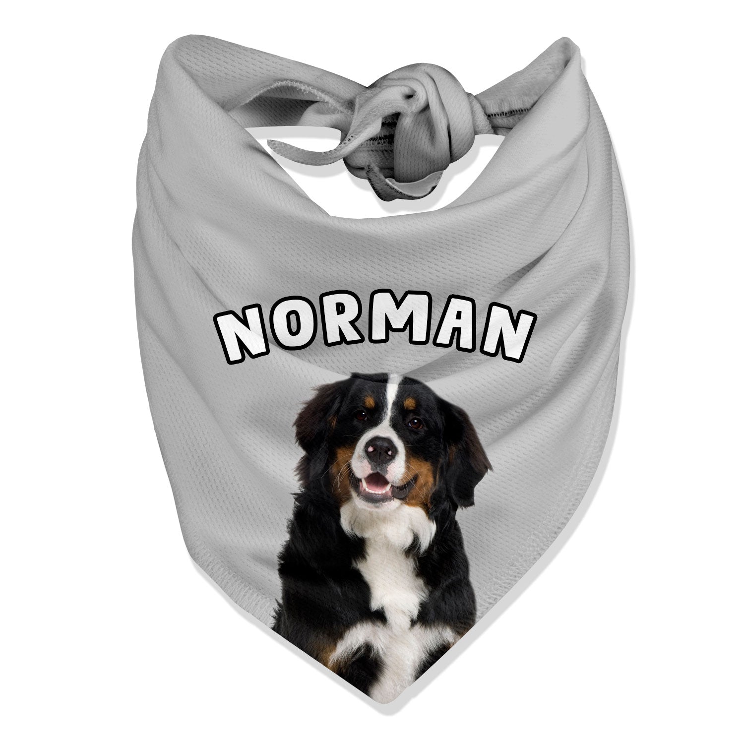 Personalised Name Dog Bandana