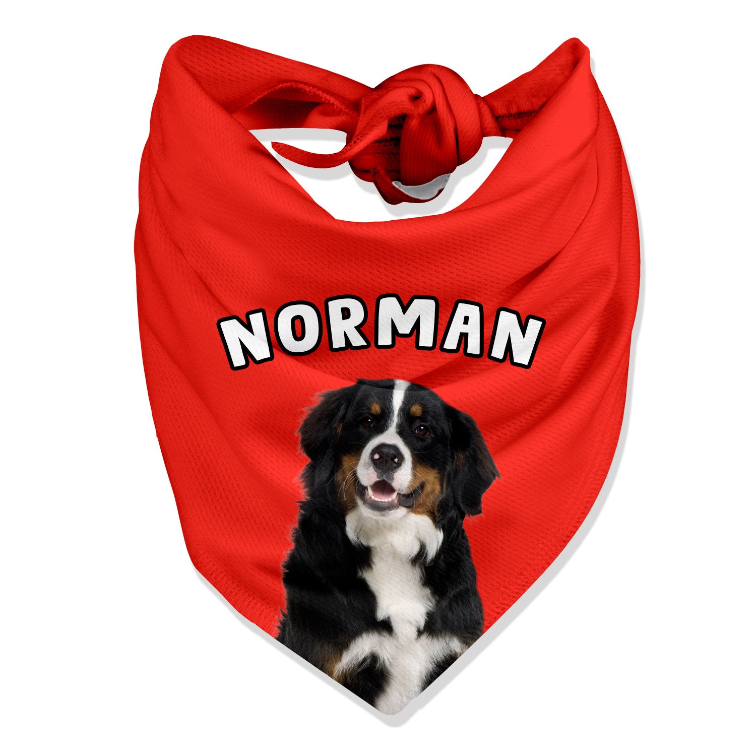 Personalised Name Dog Bandana