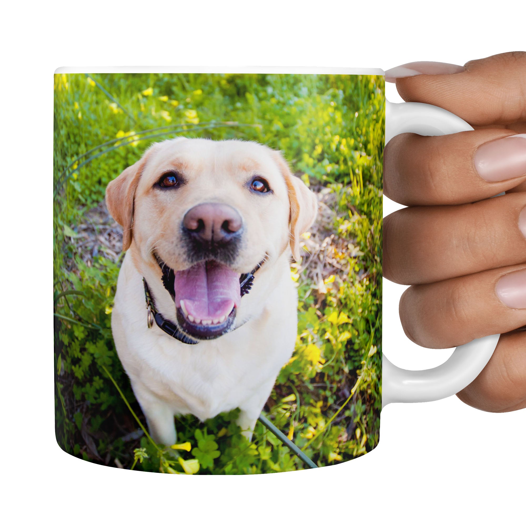 Photo Dog Mug