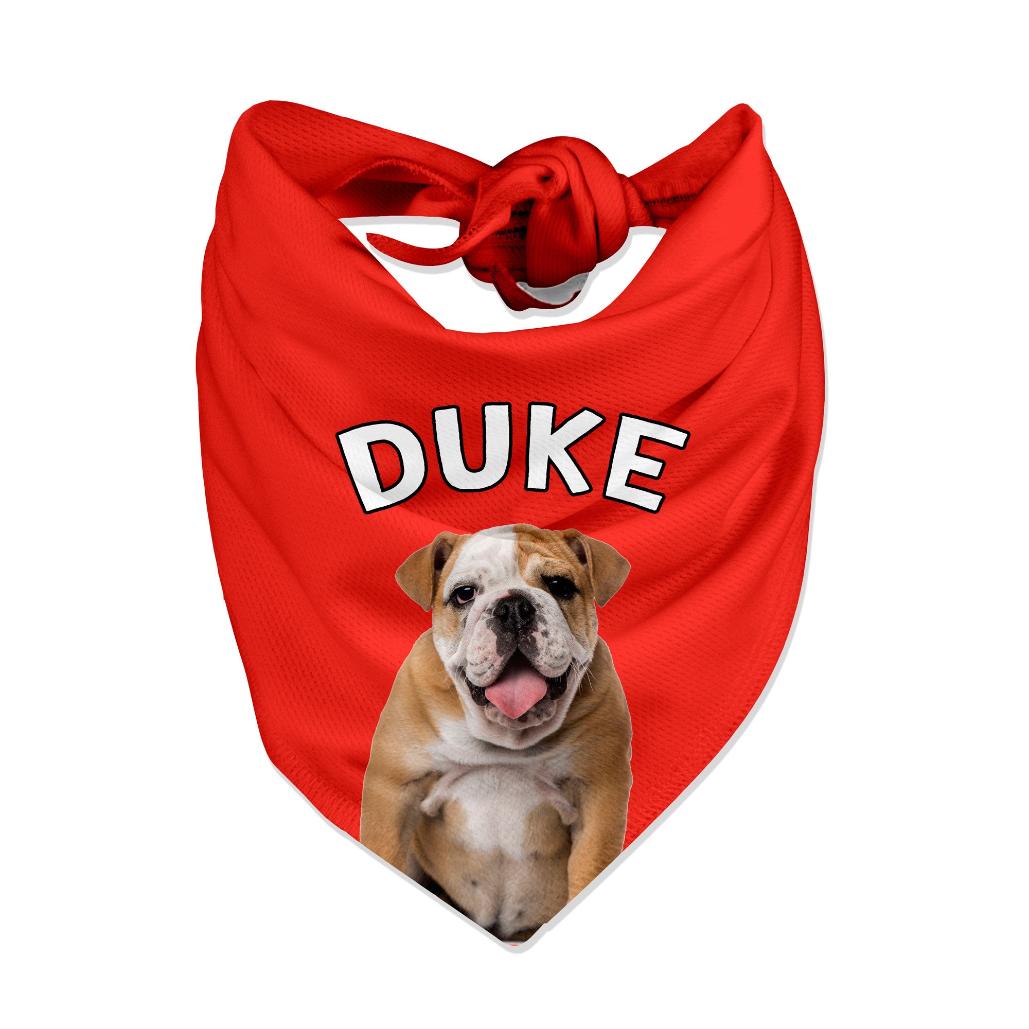 Your Dog Name Bandana Plain