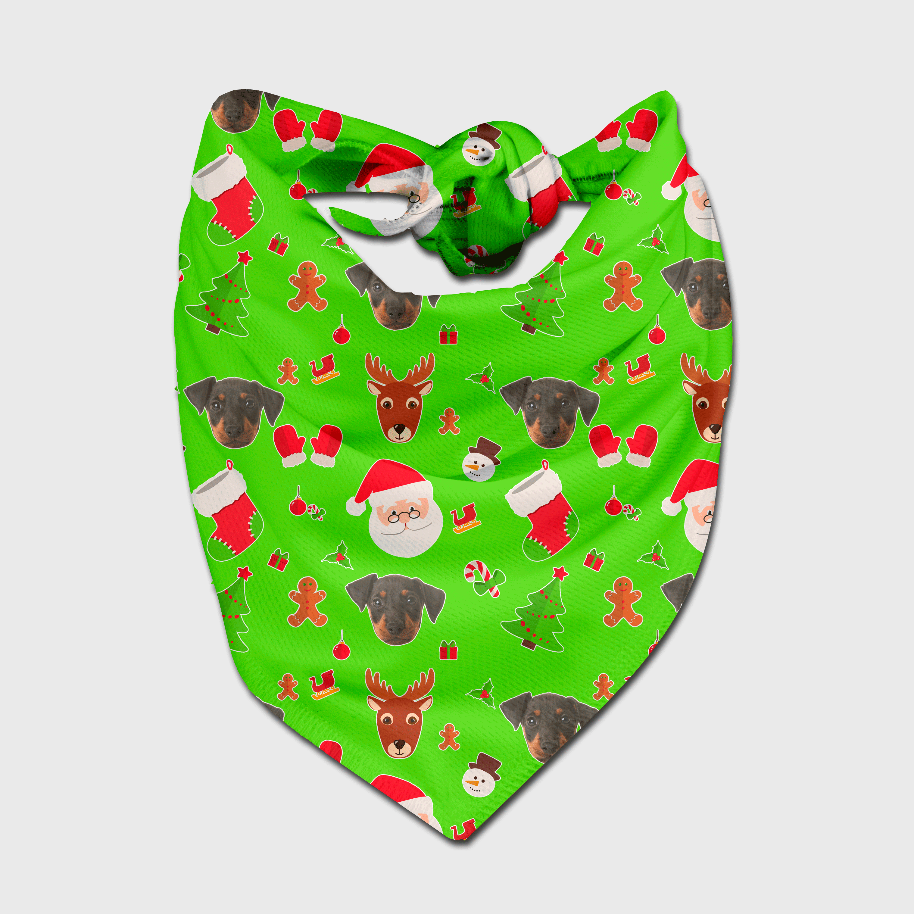 Christmas Reindeer Dog Photo Bandana