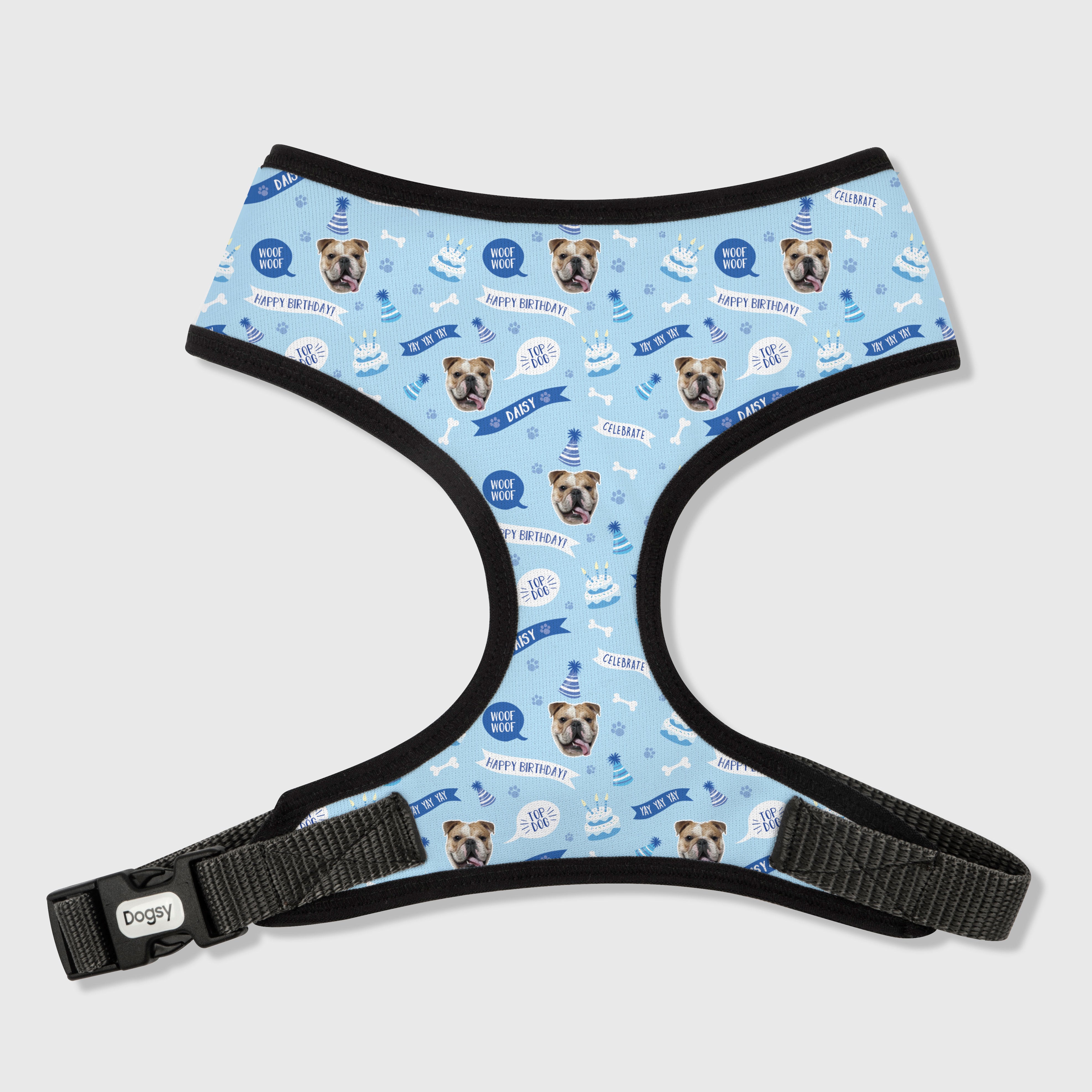 Happy Birthday Dog Harness