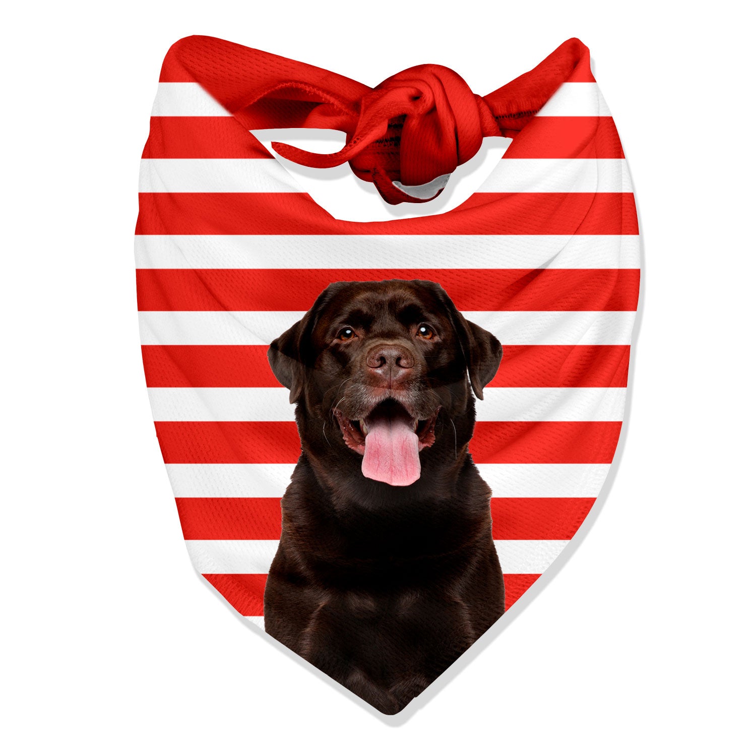 Stripey Personalised Dog Bandana