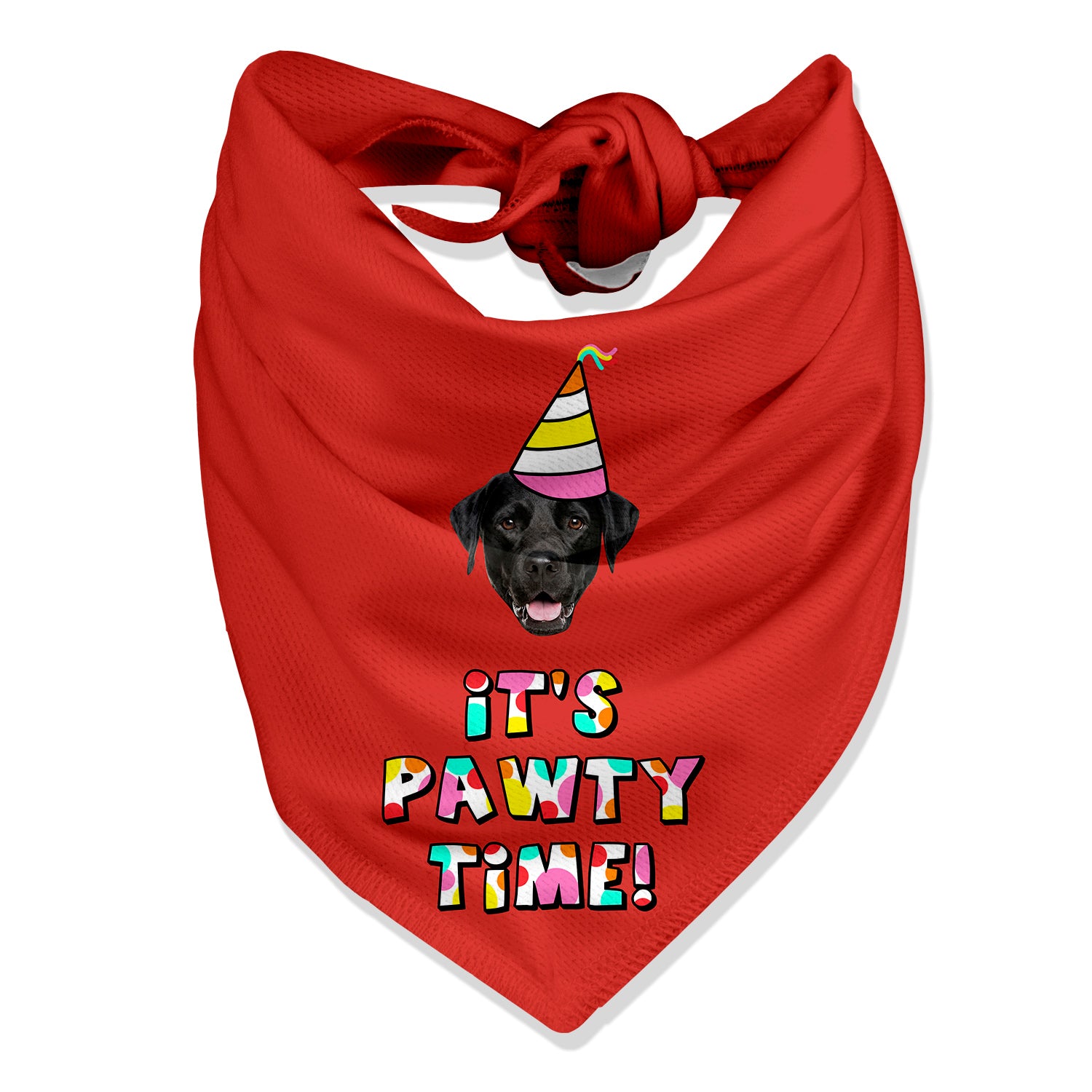 It's Pawty Time Personalised Dog Bandana