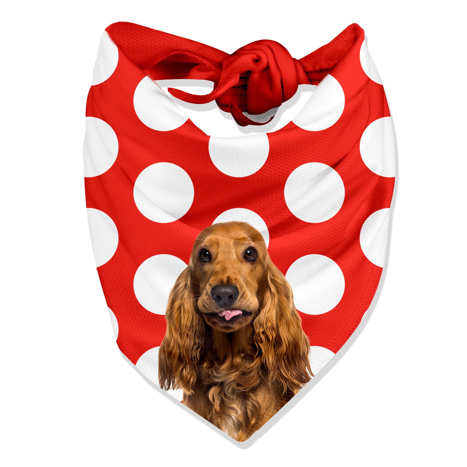 Dogsy Spotty Personalised Dog Bandana