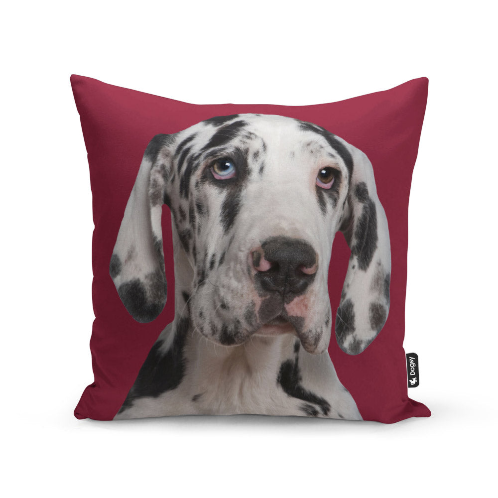 Photo Cushion With Dog On