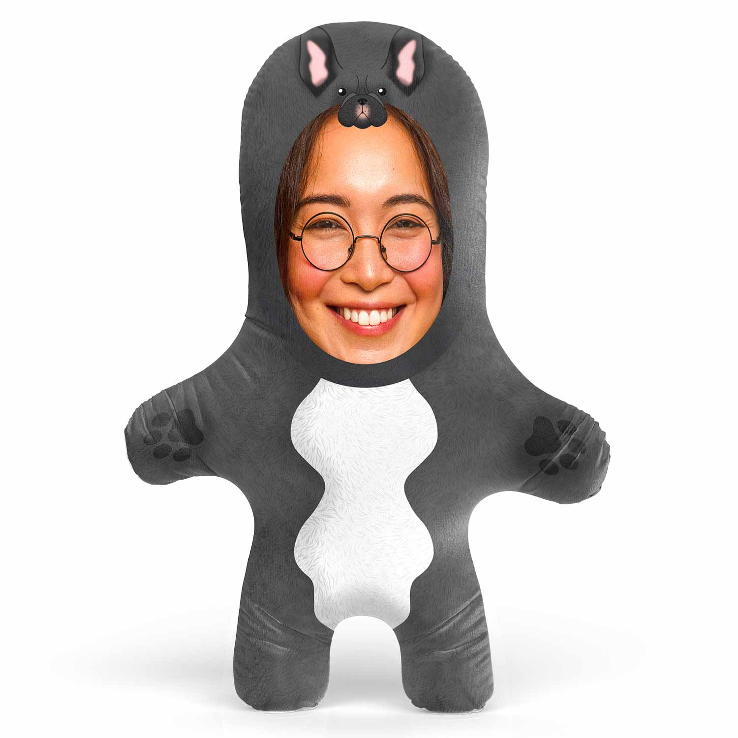 French Bulldog Dog Teddy