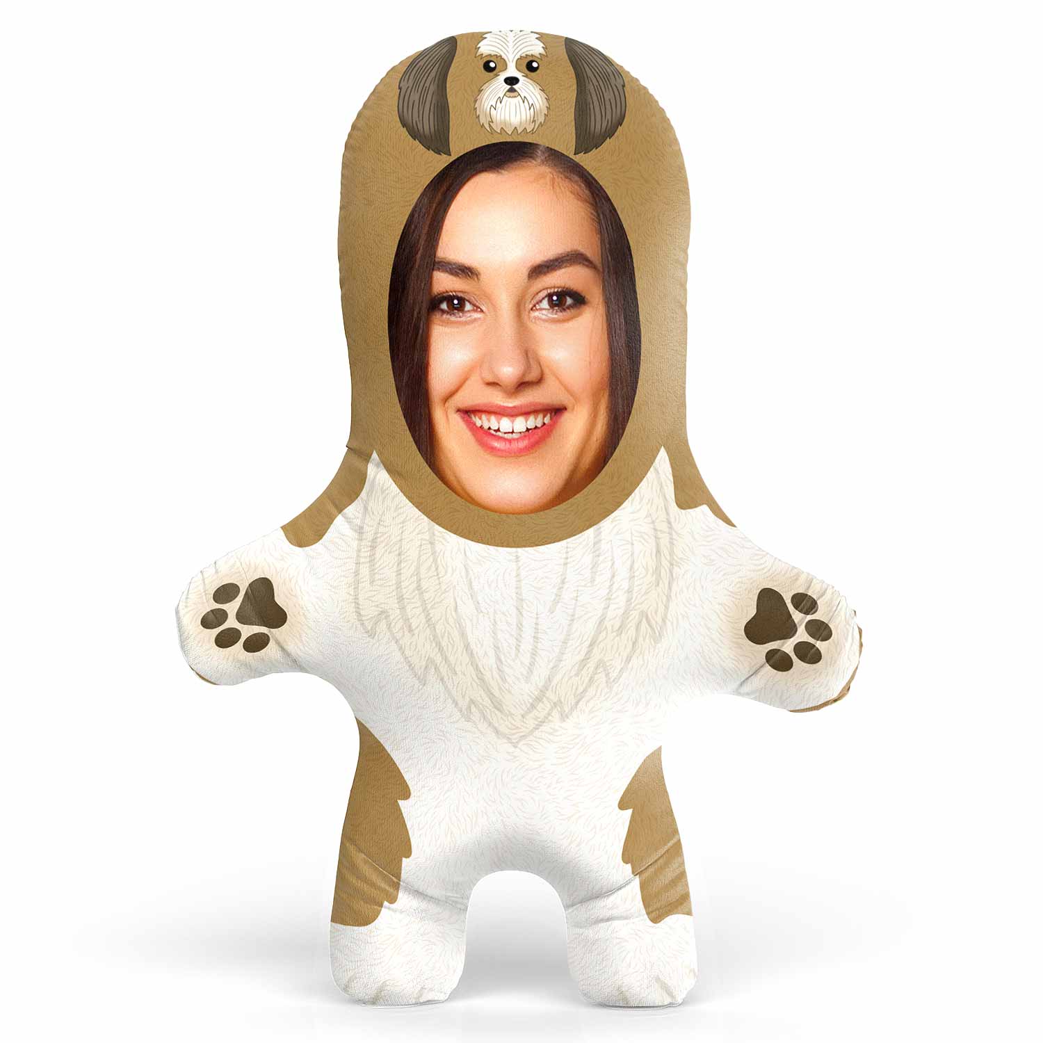 Shih Tzu Dog Teddy