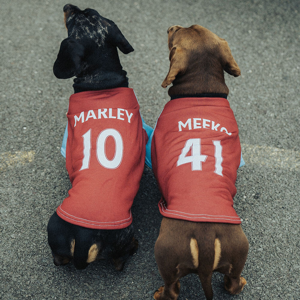 Personalised West Ham Shirt for Dogs