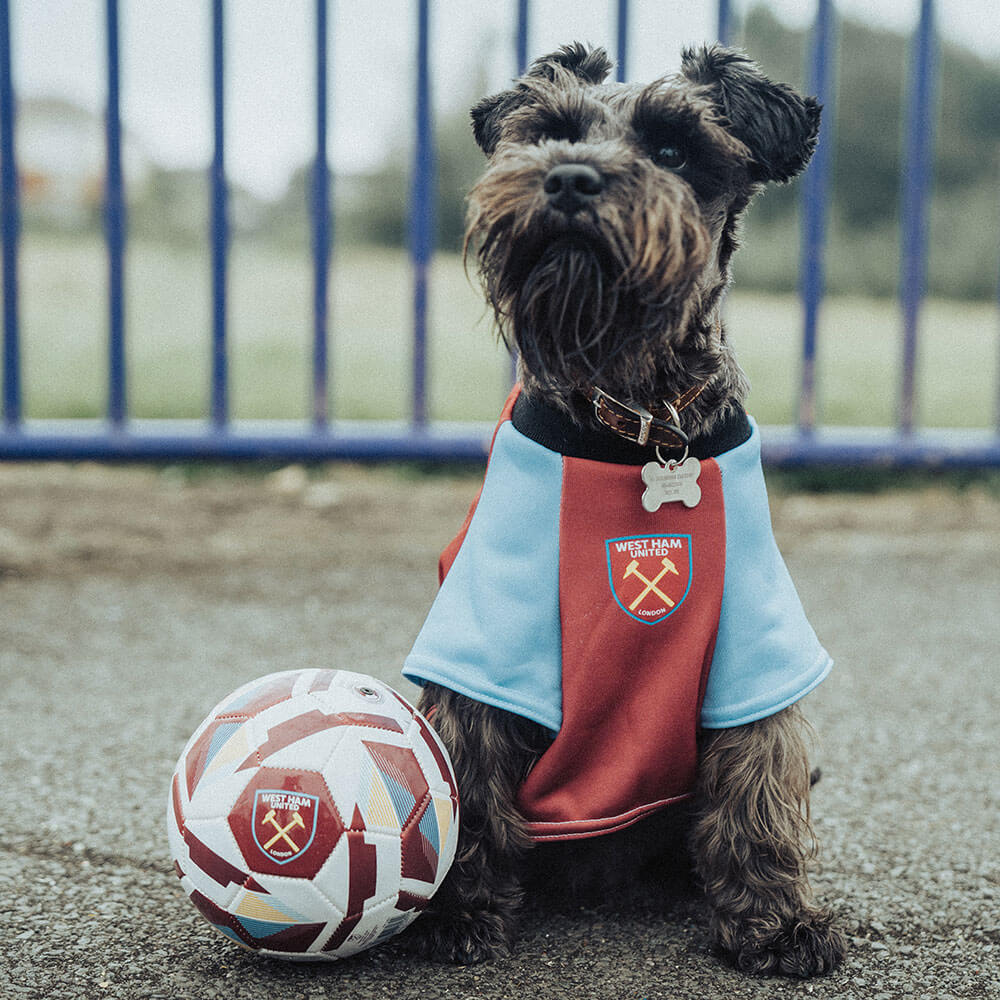 Personalised West Ham Dog Shirts