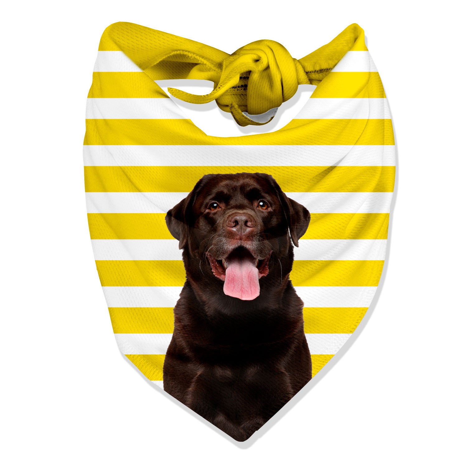 Stripey Personalised Dog Bandana