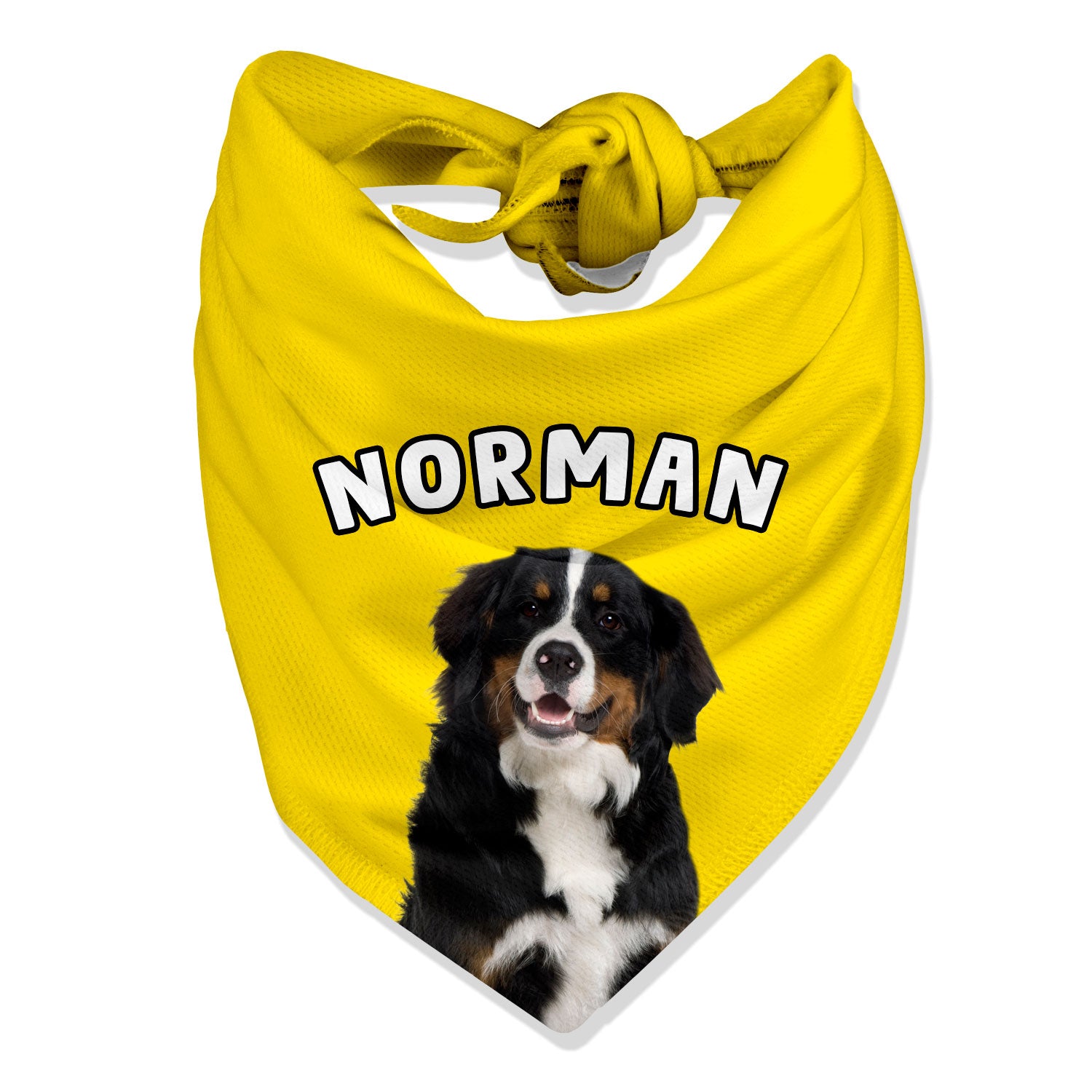 Personalised Name Dog Bandana