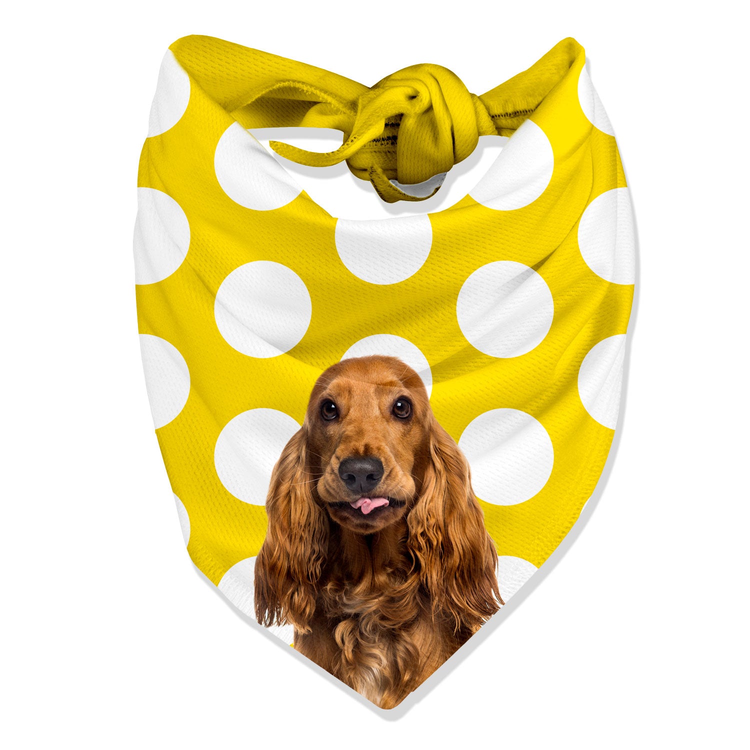 Dogsy Spotty Personalised Dog Bandana