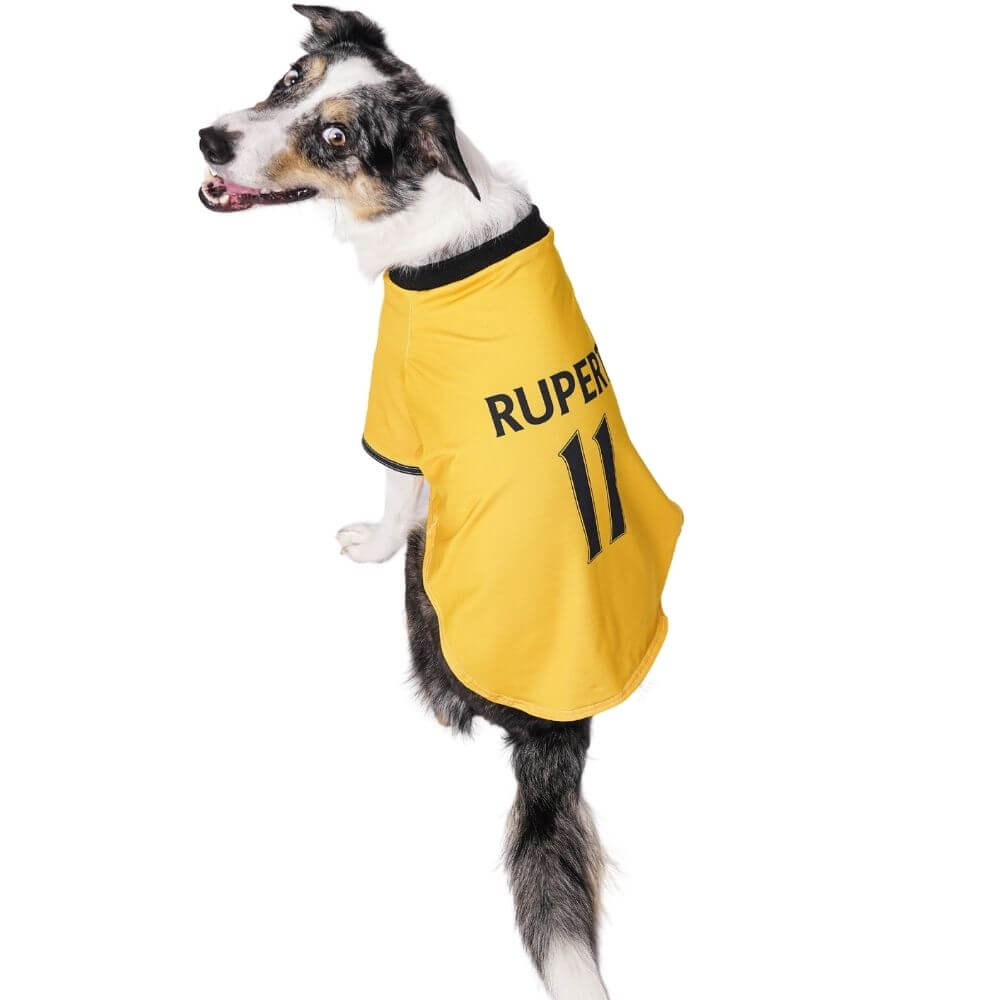 Personalised Wolverhampton Wanderers Dog Shirt