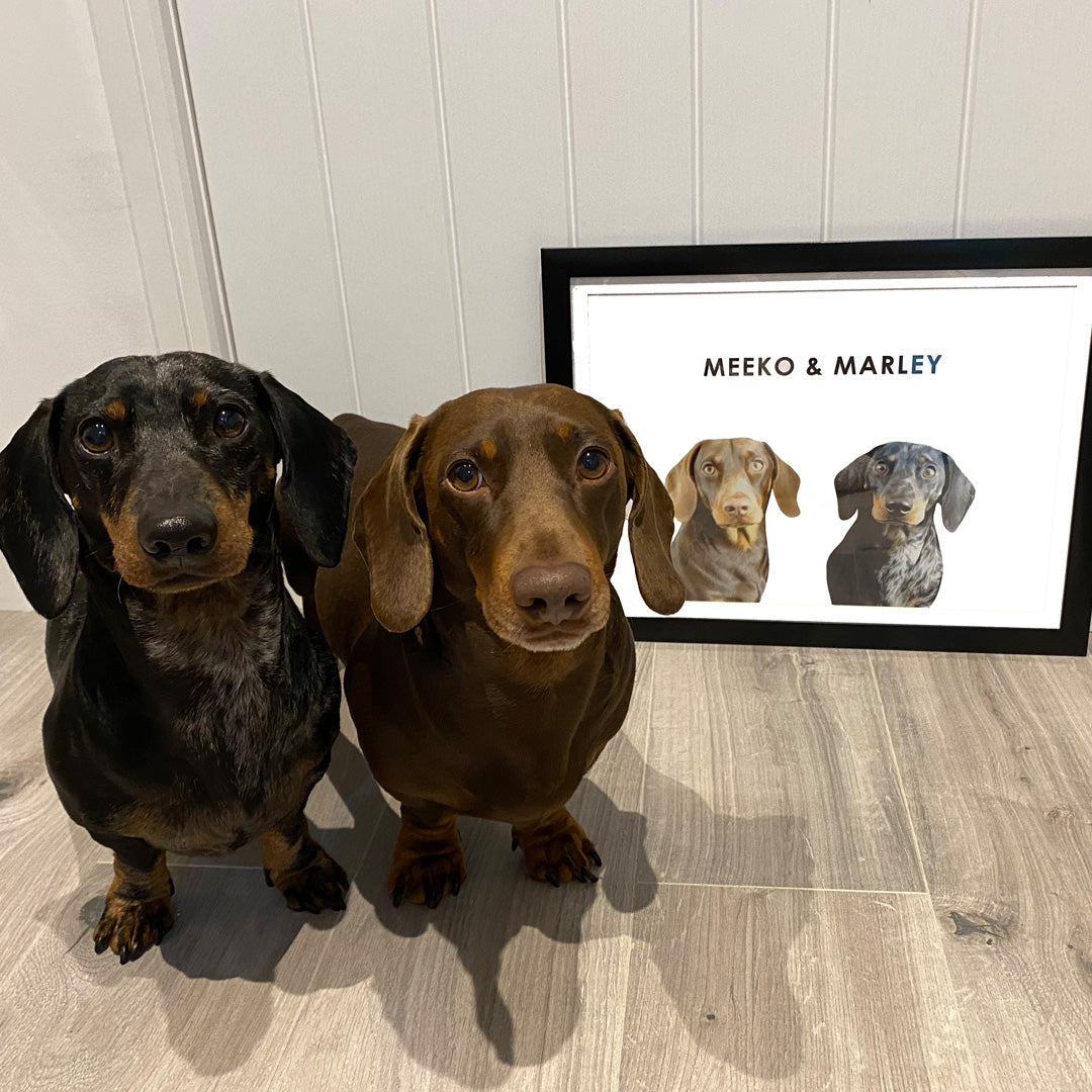 Custom 2 or 3 Dogs Portrait