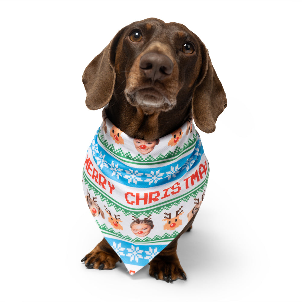 Dog & Owner Personalised Merry Christmas Bandana