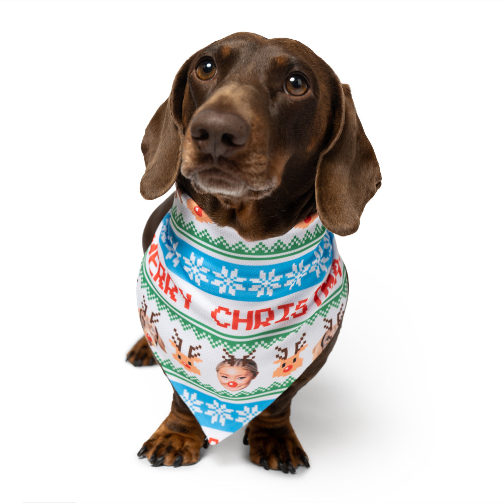 merry christmas dog bandana