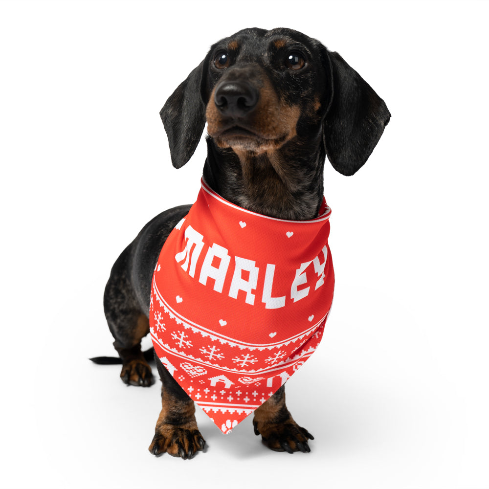 Nordic Personalised Name Dog Bandana