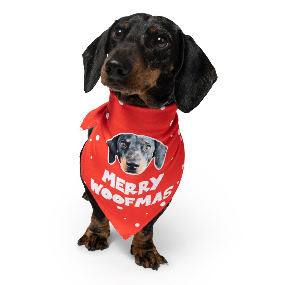 christmas dog bandana