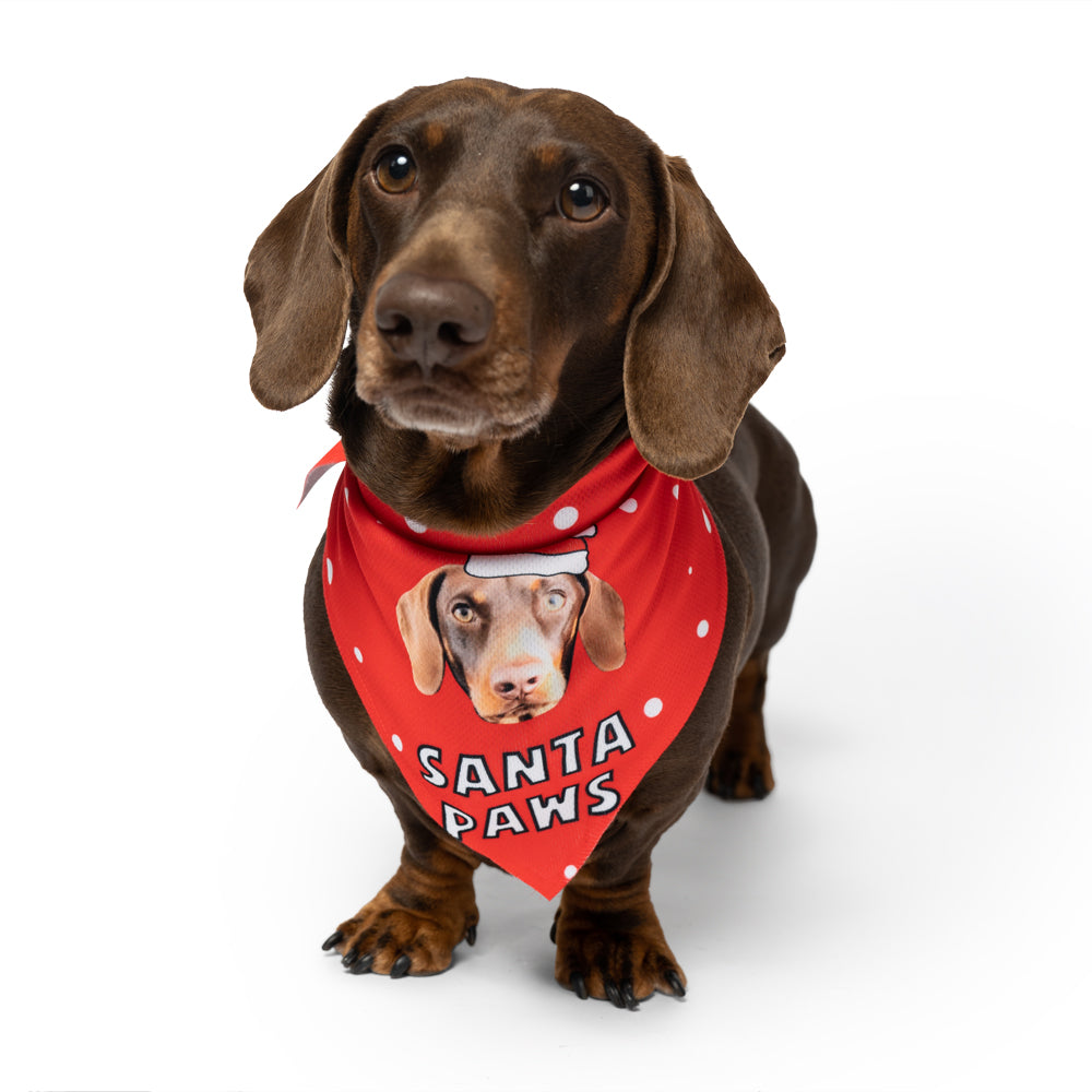 personalised christmas dog bandana